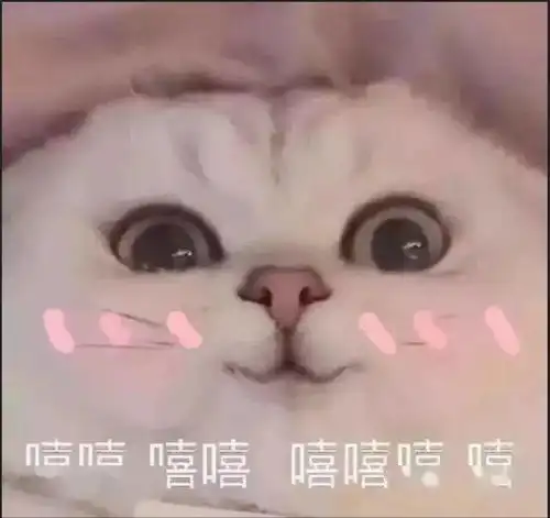 可爱的老虎表情包嘻嘻