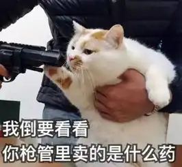 诸暨这28个村要发了这些项目每个都能变成钱钱钱,有你们村吗
