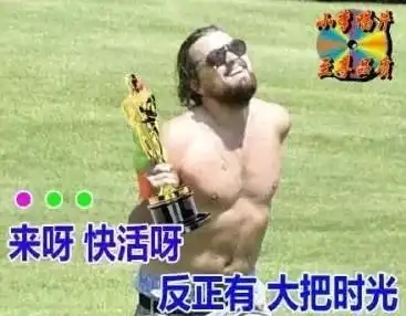小李子吹哨表情包