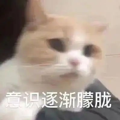 大小姐驾到,通通进来