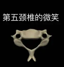 你的专业领域有哪些趣图