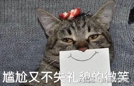 一只猫竟然可以贱到这种程度,网友不敢相信