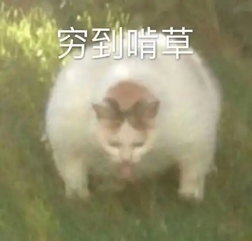 求关心表情包土豪