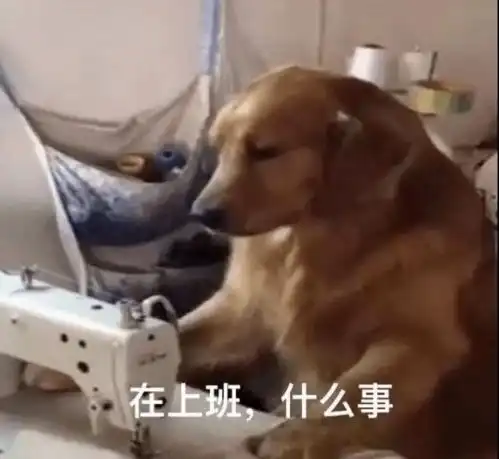 当事学生干部现在就是后悔,非常后悔
