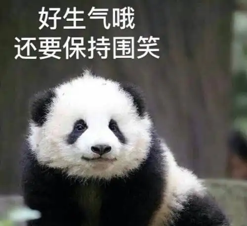 熊猫脸说人胖的表情包花