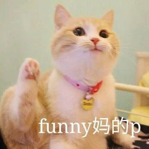 99.99999的人都在诧异宁波雷迪森