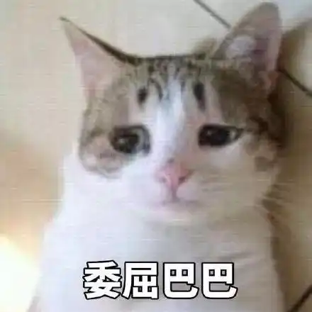 好羡慕别人家的留言嗯,这次被老板训哭的是本花没错了