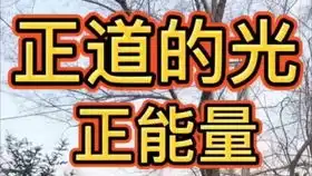 qq龙王表情包