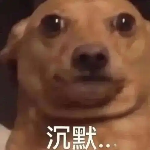 bc省风暴再度来袭奶牛和鸡做错了什么