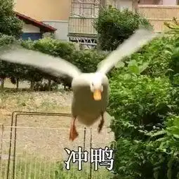 前天我去植物园拍鸟,被吓了一跳