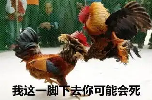 价值140万的92只鸡被依法判处死刑网友鸡到底做错了什么