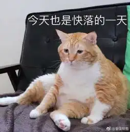大胖橘表情包