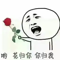撩妹表情包动漫撩妹