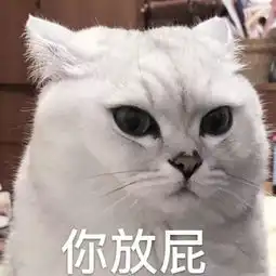 全新猫咪表情包,拿走不谢