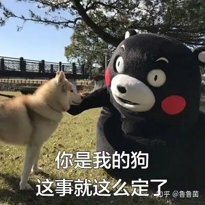 撩妹表情包动漫听说