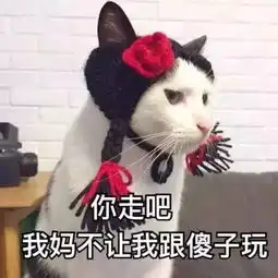 养猫之后,我发现这些事成为了不可能