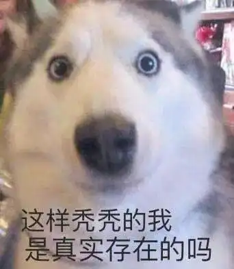 不要潜水的表情包秃头