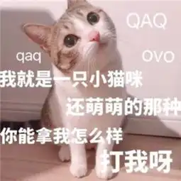 卖萌表情包