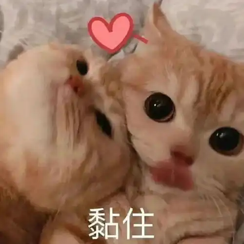 可爱的老虎表情包李焕英