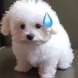 全情绪表达流汗表情包