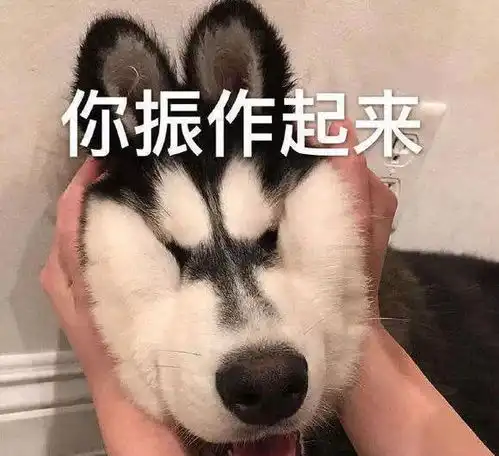 dnf老哥被迫相亲,看照片以为是女神,见面后才知道是深坑