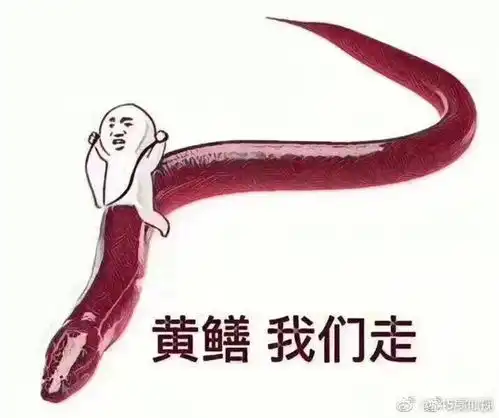 我刚才知道黄鳝门的