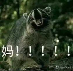 三团表情包什么动物微信
