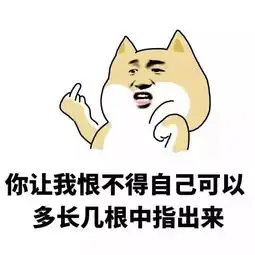 表情包抱歉,现在不流行心灵鸡汤,只求说大实话