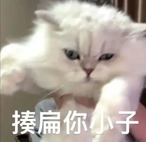 这多少有点病丨第962期喵表情包