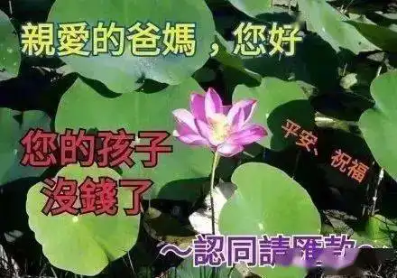 在吗进来聊聊你的生活费