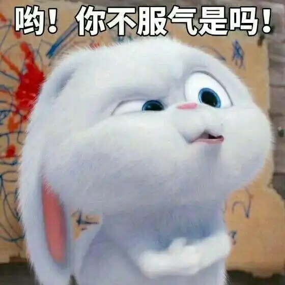你见到过哪些笑到不行表情包