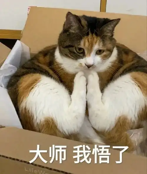 声明我们组没有也不会再有以cr为名的群,如果有的话均跟本...