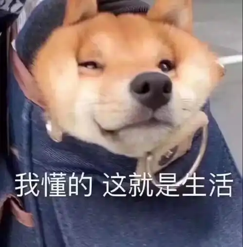 表情包沙雕动画放假