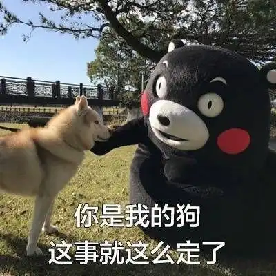 有什么可爱的狗狗表情包