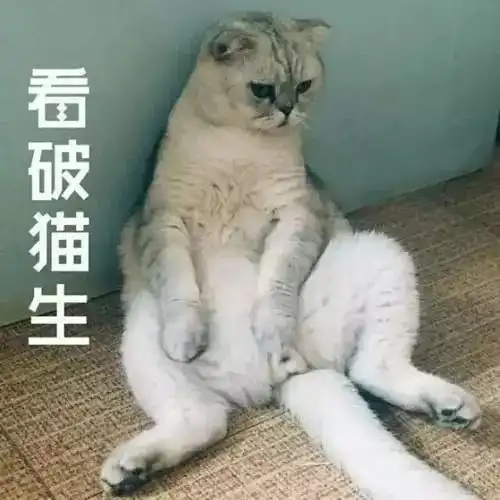 人前正气人后家暴的撒谎精男星