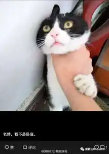 为了捍卫爱情鲁迅跟猪干过一架