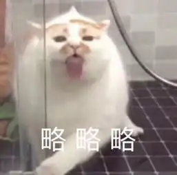 科学研究表明,撸猫好处多多
