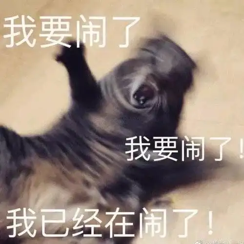 看看2020能不能脱单