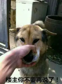 皮捏狗嘴的表情包