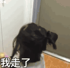 权律二表情包gif无字