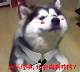 家里养狗,就像养了个拆迁队