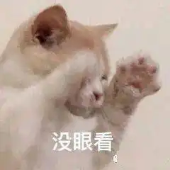 小猫瘫倒表情包