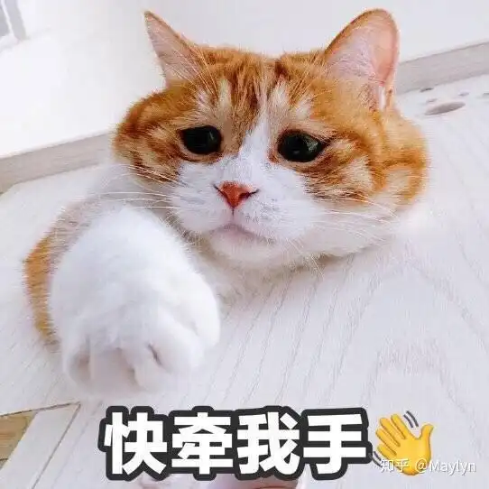你们有没有什么能代替聊天使用的表情包