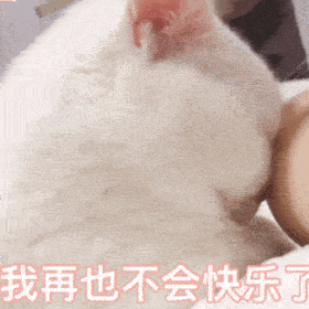 表情包我再也不会快乐了