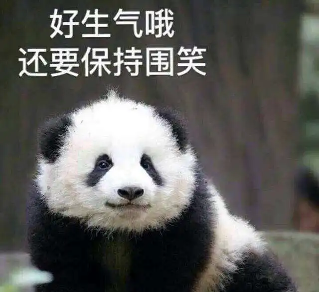 熊猫脸说人胖的表情包胜