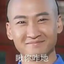 只有尔康变成了表情包