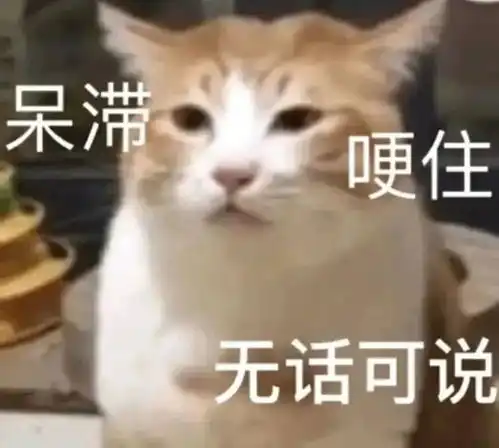 小猫卖萌表情包笑话