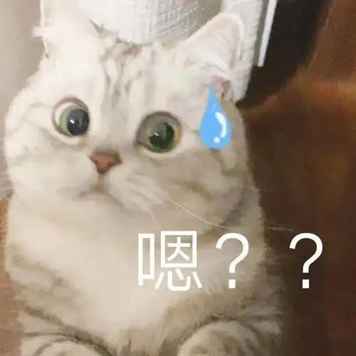 沙雕表情不用担心,我每天睡眠很充足