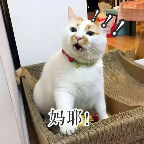 2元一米数码印花价格又跳水了