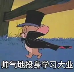 有趣丨那些上了大学才明白的真相